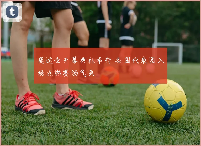 奥运会开幕典礼举行 各国代表团入场点燃赛场气氛